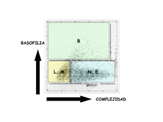 COMPLEJIDAD
BASOFILIA
L, M N, E
B
 