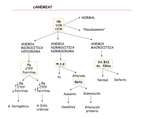 ¿ANEMIA?
Hb
VCM
HCM
NORMAL
“Pseudoanemia”
ANEMIA
MICROCITICA
HIPOCROMA
Fe
CTFF
Ferritina
ANEMIA
NORMOCITICA
NORMOCROMA
m.s.p
ANEMIA
MACROCITICA
Vit.B12
Ac. fólico
Fe
CTFF
Ferritina
Fe
CTFF
Ferritina
N Alterada
Retis
Aumento Disminución
Normal Defecto
A. ferropénica A. Enfs.
crónicas
Hemólisis Alteración
primaria
 