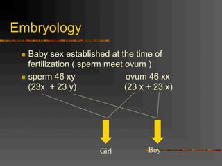 Embryology
n  Baby sex established at the time of
fertilization ( sperm meet ovum )
n  sperm 46 xy ovum 46 xx
(23x + 23 y) (23 x + 23 x)
Girl Boy
 