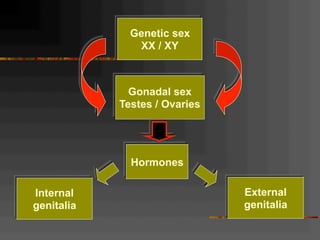 Gonadal sex
Testes / Ovaries
Genetic sex
XX / XY
Internal
genitalia
Hormones
External
genitalia
 