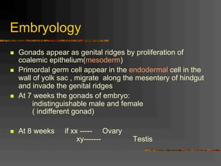 Embryology
n  Gonads appear as genital ridges by proliferation of
coalemic epithelium(mesoderm)
n  Primordal germ cell appear in the endodermal cell in the
wall of yolk sac , migrate along the mesentery of hindgut
and invade the genital ridges
n  At 7 weeks the gonads of embryo:
indistinguishable male and female
( indifferent gonad)
n  At 8 weeks if xx ----- Ovary
xy------- Testis
 