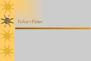 Yolcu=Fetus 
