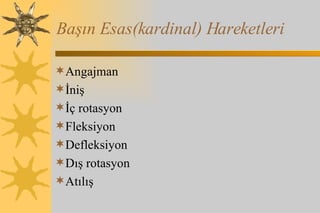 Başın Esas(kardinal) Hareketleri Angajman İniş İç rotasyon Fleksiyon Defleksiyon Dış rotasyon Atılış 