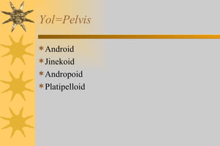 Yol=Pelvis Android Jinekoid Andropoid Platipelloid 