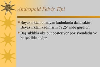 Andropoid Pelvis Tipi Beyaz ırktan olmayan kadınlarda daha sıktır.  Beyaz ırktan kadınların % 25’ inde görülür.  Baş sıklıkla oksiput posteriyor pozisyondadır ve bu şekilde doğar.  
