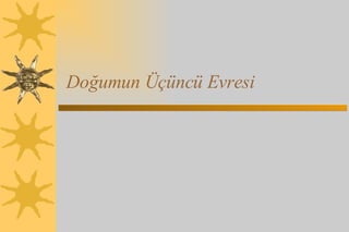 Doğumun Üçüncü Evresi 