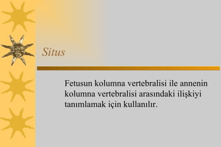 Situs Fetusun kolumna vertebralisi ile annenin kolumna vertebralisi arasındaki ilişkiyi tanımlamak için kullanılır. 