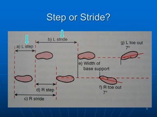 Step Pattern Normal Coour Normal-Gait-ilovepdf-compressed for limb.pdf