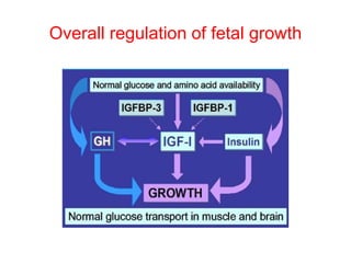 Normal-growth.pptx
