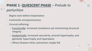 PHASE 1: QUIESCENT PHASE – Prelude to
parturition
- Begins even before implantation
- Contractile unresponsiveness
- Cervical softening:
o Functionally: increased compliance yet maintaining structural
integrity
o Anatomically: increased vascularity, stromal hypertrophy, and
glandular hypertrophy and hyperplasia
o Where Braxton-Hicks contraction maybe felt
 