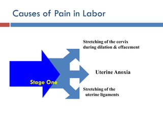 Causes of Pain in Labor
Stage One
Stretching of the cervix
during dilation & effacement
Uterine Anoxia
Stretching of the
uterine ligaments
 