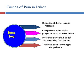 Causes of Pain in Labor
Distention of the vagina and
Perineum
Compression of the nerve
ganglia in cervix & lower uterus
Pressure on urethra, bladder,
rectum during fetal descent
Traction on and stretching of
the perineum
Stage
Two
 
