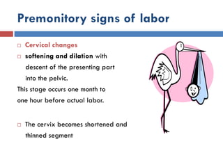 Premonitory signs of labor
 Cervical changes
 softening and dilation with
descent of the presenting part
into the pelvic.
This stage occurs one month to
one hour before actual labor.
 The cervix becomes shortened and
thinned segment
 