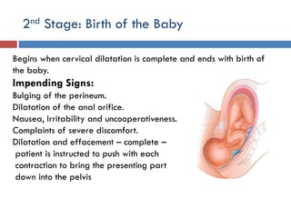 2nd Stage: Birth of the Baby
Begins when cervical dilatation is complete and ends with birth of
the baby.
Impending Signs:
Bulging of the perineum.
Dilatation of the anal orifice.
Nausea, Irritability and uncooperativeness.
Complaints of severe discomfort.
Dilatation and effacement – complete –
patient is instructed to push with each
contraction to bring the presenting part
down into the pelvis
 