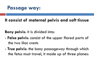 Passage way:
It consist of maternal pelvis and soft tissue
Bony pelvis: it is divided into:
- False pelvis: consist of the upper flared parts of
the two iliac crests
- True pelvis: the bony passageway through which
the fetus must travel, it made up of three planes:
 