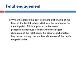 Fetal engagement:
 When the presenting part is at zero station, it is at the
level of the ischial spines, which are the landmarks for
the midpelvis. This is important in the vertex
presentation because it implies that the largest
dimension of the fetal head, the biparietal diameter,
has passed through the smallest dimension of the pelvis,
the pelvic inlet.
 