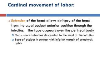 Cardinal movement of labor:
 Extension of the head allows delivery of the head
from the usual occiput anterior position through the
introitus. The face appears over the perineal body
 Occurs once fetus has descended to the level of the introitus
 Base of occiput in contact with inferior margin of symphysis
pubis
 