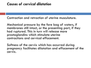 Causes of cervical dilatation
Contraction and retraction of uterine musculature.
Mechanical pressure by the fore bag of waters, if
membranes still intact, or the presenting part, if they
had ruptured. This in turn will release more
prostaglandins which stimulate uterine
contractions and cervical effacement.
Softness of the cervix which has occurred during
pregnancy facilitates dilatation and effacement of the
cervix.
 