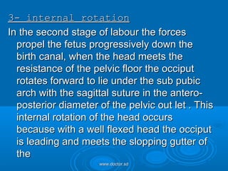 Normal labour | PPT