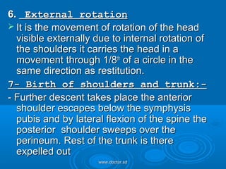 Normal labour | PPT