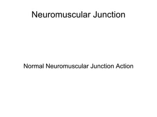 Neuromuscular Junction Normal Neuromuscular Junction Action 
