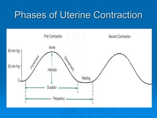 Normal-Obstetrics.ppt