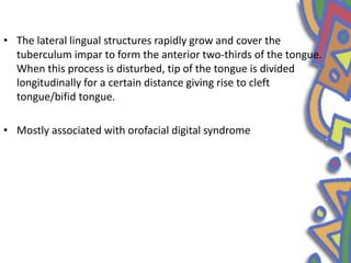 • The lateral lingual structures rapidly grow and cover the
tuberculum impar to form the anterior two-thirds of the tongue.
When this process is disturbed, tip of the tongue is divided
longitudinally for a certain distance giving rise to cleft
tongue/bifid tongue.
• Mostly associated with orofacial digital syndrome
 