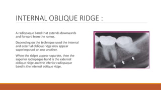 Comprehensive Guide to Normal Anatomic Landmarks in Intraoral ...