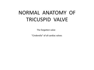 NORMAL ANATOMY OF
TRICUSPID VALVE
The forgotten valve
“Cinderella” of all cardiac valves
 