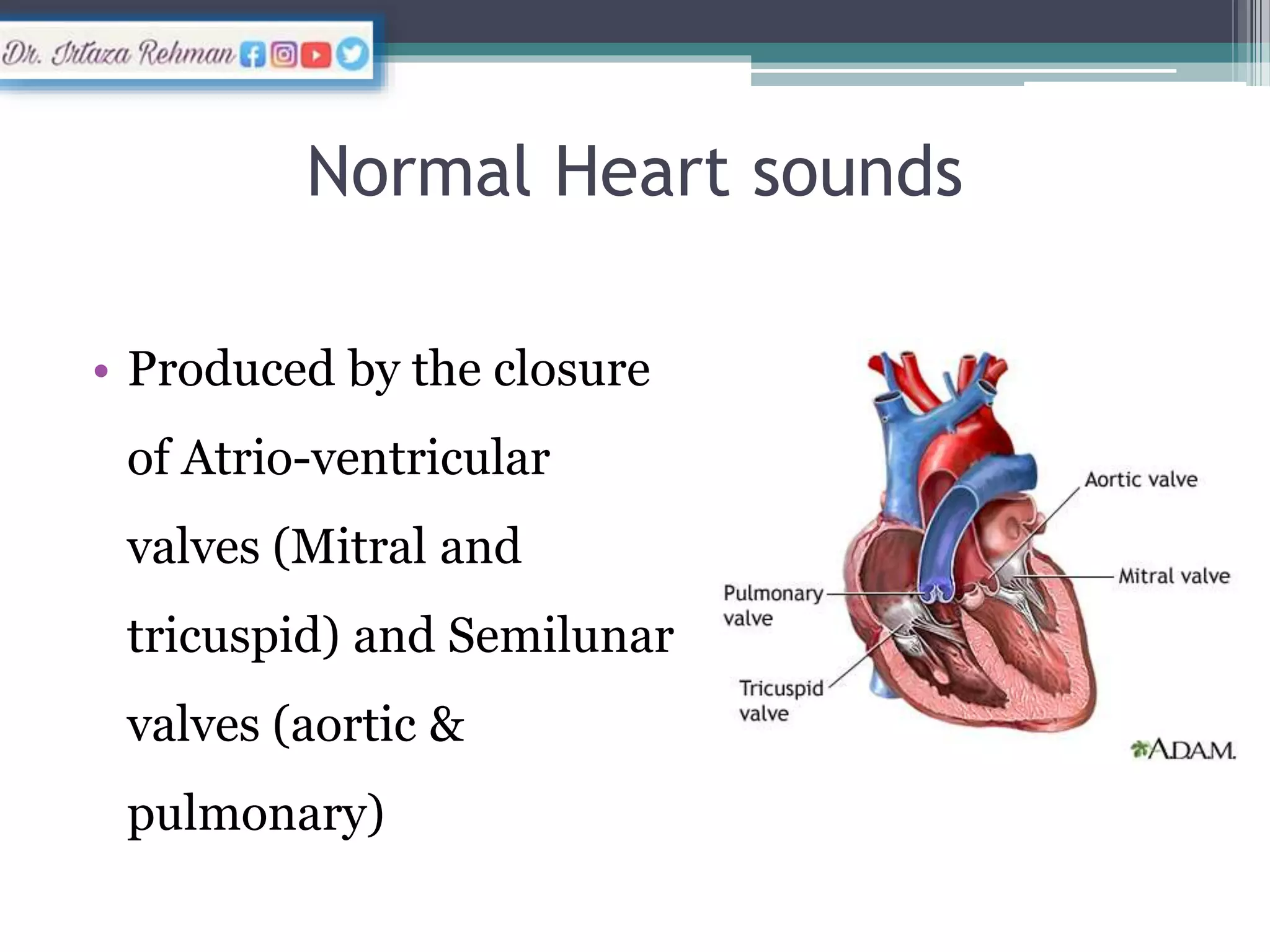 Normal and abnormal Heart sounds (Murmurs) pptx Heart and