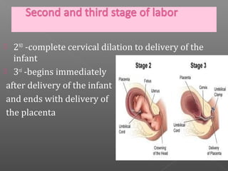   2ND -complete cervical dilation to delivery of the
   infant
 3rd -begins immediately
 after delivery of the infant
 and ends with delivery of
 the placenta
 