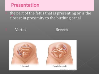    the part of the fetus that is presenting or is the
    closest in proximity to the birthing canal

      Vertex                   Breech
 