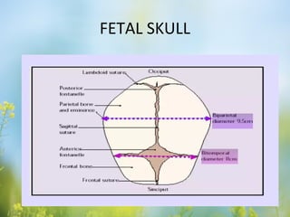 Normal and abnormal labour | PPT