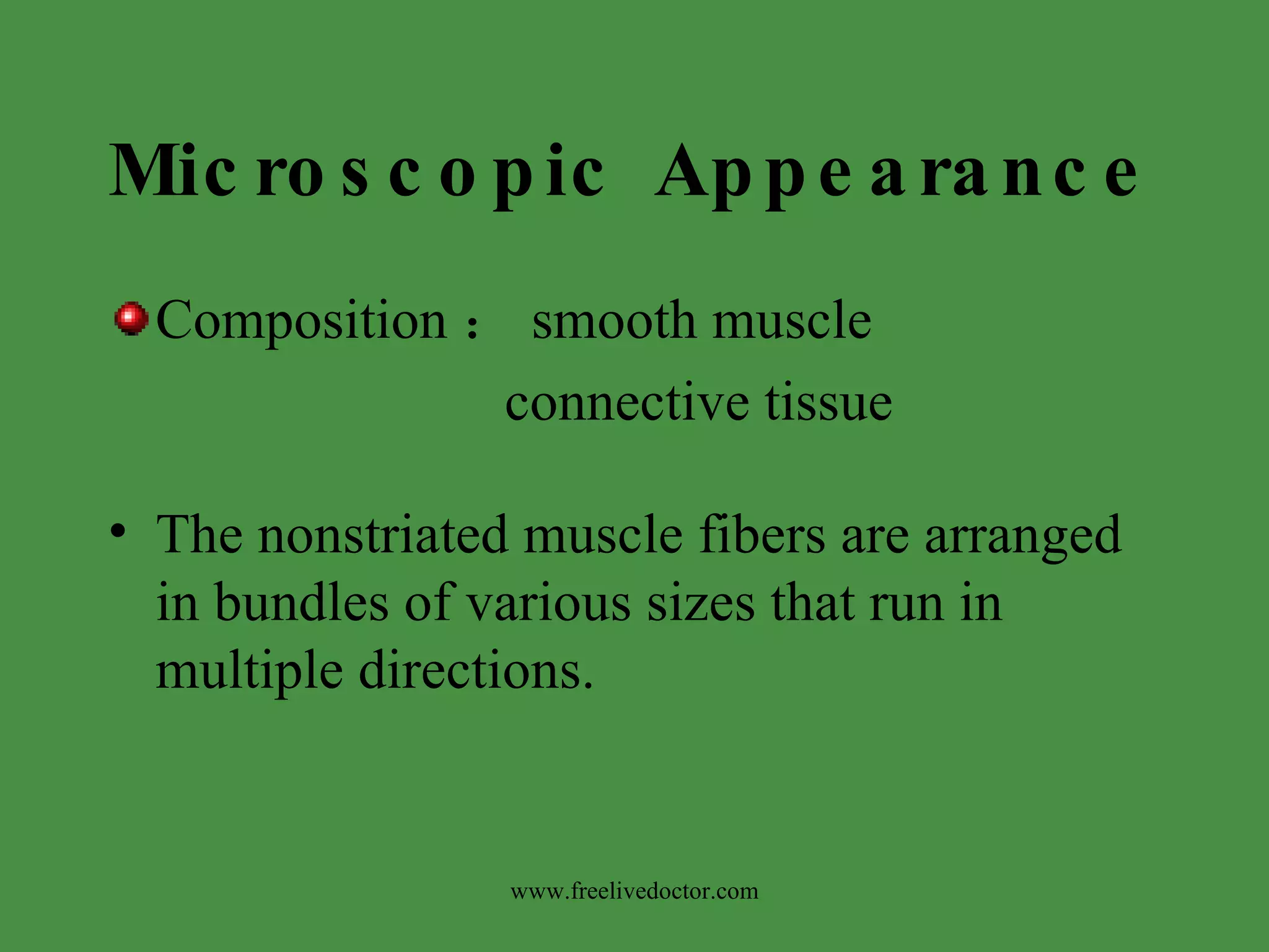 Microscopic Appearance Composition ： smooth muscle connective tissue The nonstriated muscle fibers are arranged in bundles of various sizes that run in multiple directions. www.freelivedoctor.com 