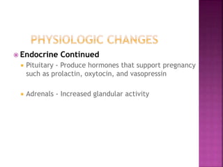  Endocrine Continued
 Pituitary - Produce hormones that support pregnancy
such as prolactin, oxytocin, and vasopressin
 Adrenals - Increased glandular activity
 