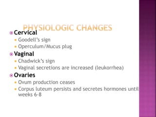  Cervical
Goodell’s sign
Operculum/Mucus plug
 Vaginal
Chadwick’s sign
Vaginal secretions are increased (leukorrhea)
 Ovaries
Ovum production ceases
Corpus luteum persists and secretes hormones until weeks
6-8
 
