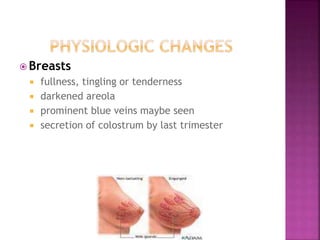  Breasts
 fullness, tingling or tenderness
 darkened areola
 prominent blue veins maybe seen
 secretion of colostrum by last trimester
 