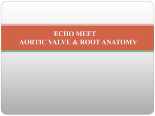 ECHO MEET
AORTIC VALVE & ROOT ANATOMY
 