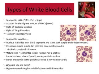 Types Of Rbc Cells Normal human Blood Cell Morphology.ppt
