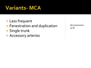  Less frequent
 Fenestration and duplication
 Single trunk
 Accessory arteries
All uncommon
≤5 %
 