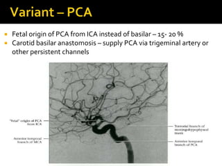  Fetal origin of PCA from ICA instead of basilar – 15- 20 %
 Carotid basilar anastomosis – supply PCA via trigeminal artery or
other persistent channels
 