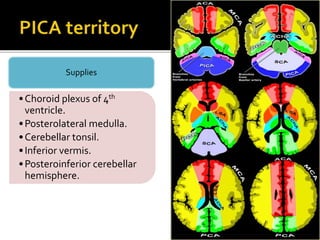 •Choroid plexus of 4th
ventricle.
•Posterolateral medulla.
•Cerebellar tonsil.
•Inferior vermis.
•Posteroinferior cerebellar
hemisphere.
Supplies
 