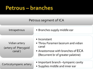 Petrous segment of ICA
• Branches supply middle earIntrapetrous
• Inconstant
• Throu Foramen lacerum and vidian
canal
• Anastomose with branches of ECA
(Recurrent br of greater palatine)
Vidian artery
(artery of Pterygoid
canal )
• Important branch –tympanic cavity
• Supplies middle and inner ear
Corticotympanic artery
 
