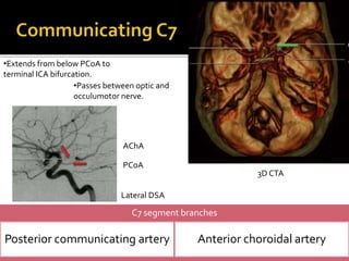 •Extends from below PCoA to
terminal ICA bifurcation.
•Passes between optic and
occulumotor nerve.
C7 segment branches
Posterior communicating artery Anterior choroidal artery
Lateral DSA
AChA
PCoA
3D CTA
 
