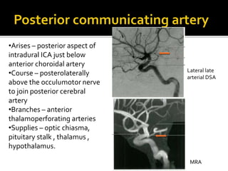 •Arises – posterior aspect of
intradural ICA just below
anterior choroidal artery
•Course – posterolaterally
above the occulumotor nerve
to join posterior cerebral
artery
•Branches – anterior
thalamoperforating arteries
•Supplies – optic chiasma,
pituitary stalk , thalamus ,
hypothalamus.
Lateral late
arterial DSA
MRA
 