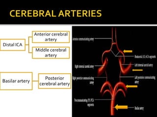 Distal ICA
Anterior cerebral
artery
Middle cerebral
artery
Basilar artery
Posterior
cerebral artery
 