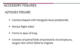  Comma shaped with triangular base peripherally
 Always Right sided
 Forms in apex of lung
 Consists of paired folds of parietal & visceral pleura,
azygos Vein which failed to migrate
ACCESSORY FISSURES
AZYGOES FISSURE:
 