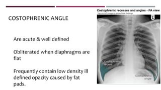 Are acute & well defined
Obliterated when diaphragms are
flat
Frequently contain low density ill
defined opacity caused by fat
pads.
COSTOPHRENIC ANGLE
 