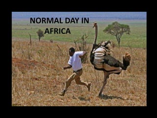 NORMAL DAY IN
   AFRICA
 