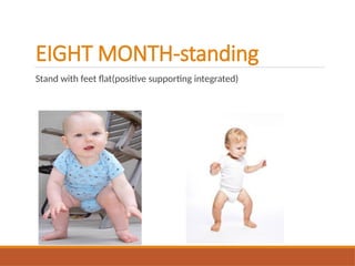 EIGHT MONTH-standing
Stand with feet flat(positive supporting integrated)
 